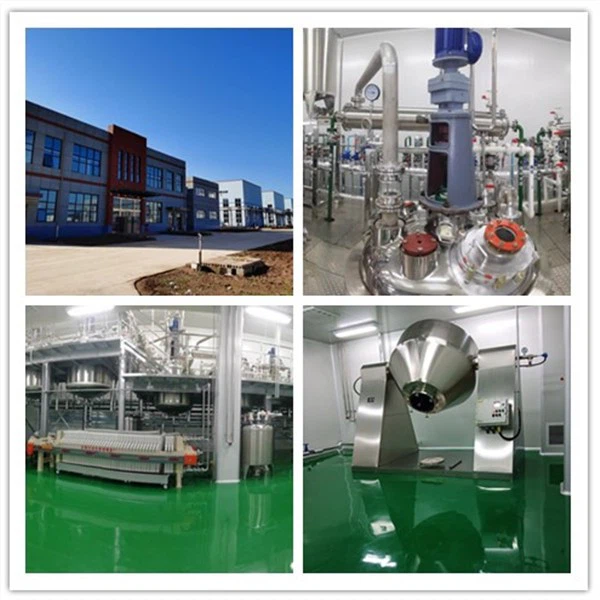 1,2-Diamino-1,2-dicarba-closododecaborane,C2H4B10N2,868382-61-0 best