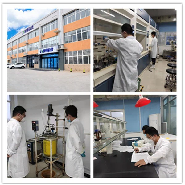 1,2-Dimethyl-1,2-dicarbaclosododecaborane ,C4H6B10,17032-21-2 suppliers